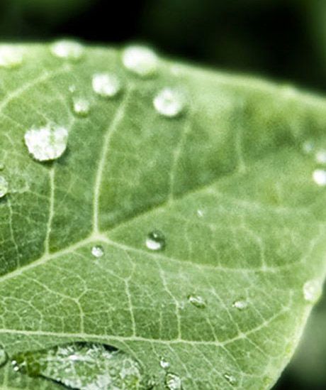 運(yùn)動拓展課程